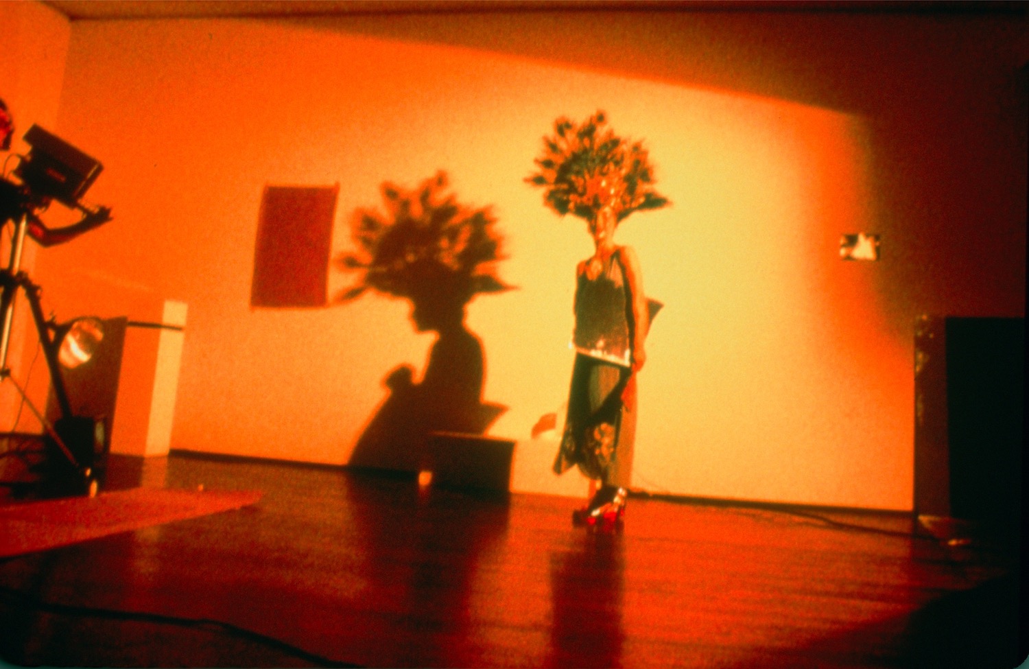 Jonas wearing a mask and a peacock feather headpiece