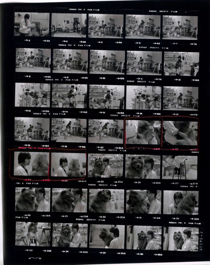 Photographic contact sheet showing different angles of Jonas’s performance