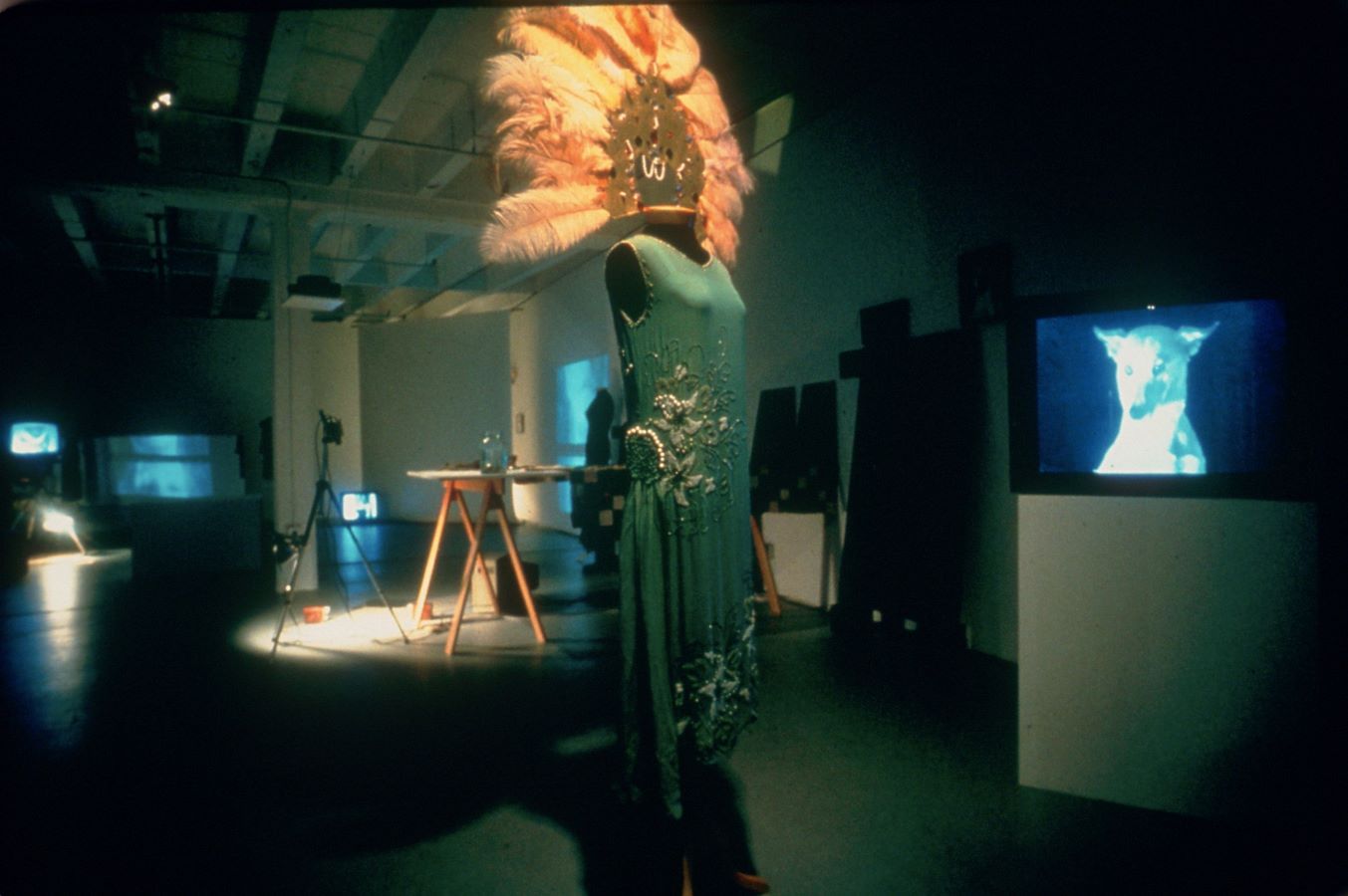 Jonas’s dress and feathered headdress on a mannequin. To the right is a TV monitor showing a dog’s head, behind the mannequin are various props.