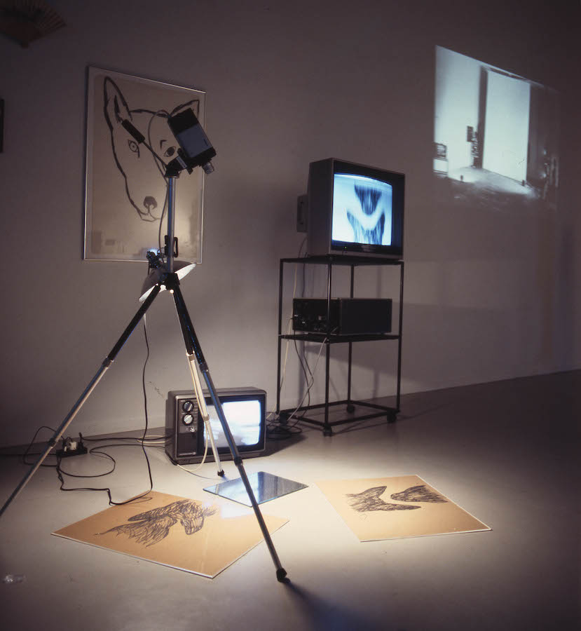 A camera on a tripod, with a light attached to it, is pointed to a mirror and two drawings placed on the floor. There are two TV monitors: one is on the floor and the other is placed on a cart. On the wall is a drawing of a dog’s head and a projection.