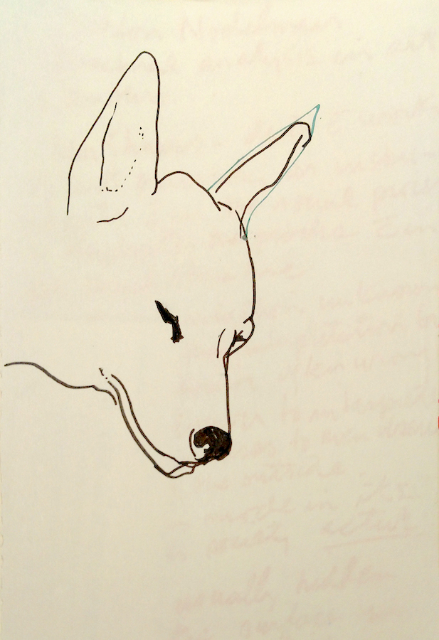 Sketch of a dog’s head